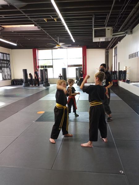 Zai Martial Arts Academy