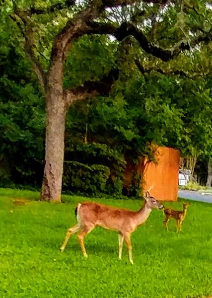 Westover Hills Club Inc