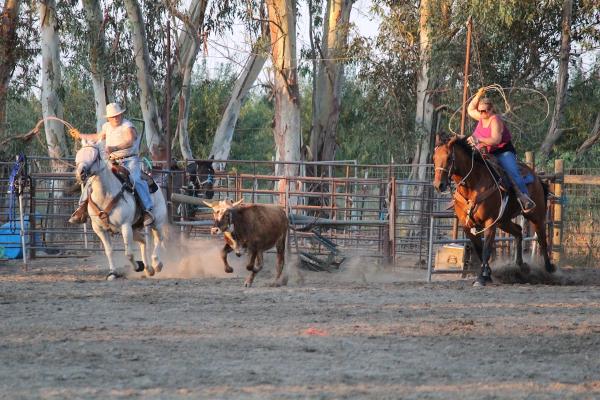 Horsequarters Boarding Stable