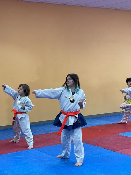 Usta Martial Arts-Arlington