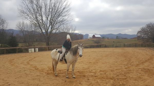 Starlight Stables