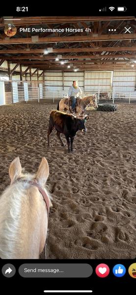 PME Performance Horses