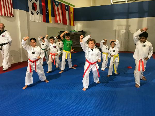 1AF Taekwondo Academy