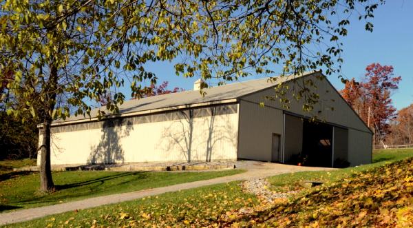 Next Level Horsemanship