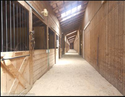 CPM Stables