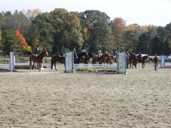 Summerhill Stables