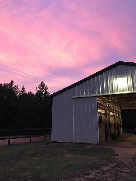 Rockview Farms