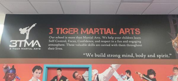3 Tiger Martial Arts