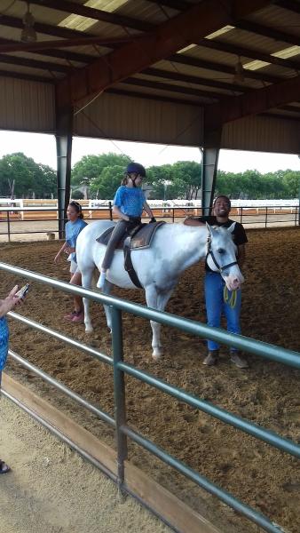 Bridlewood Stables & Equestrian Center