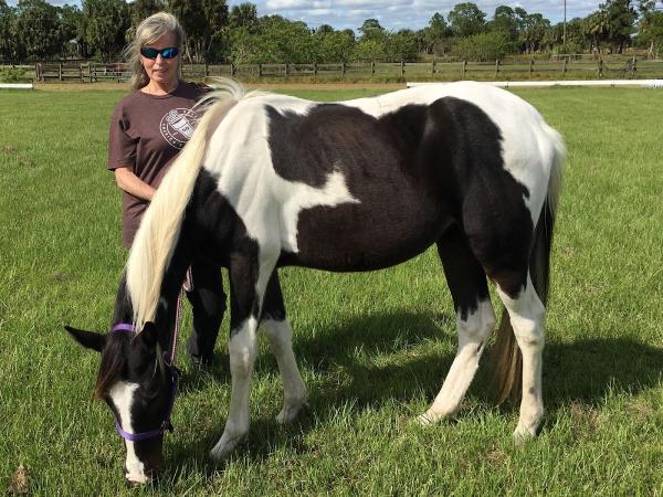 Caldwell Creek Stables