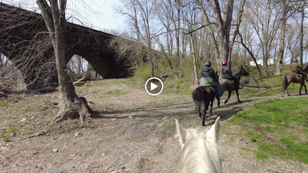 Nittany Mountain Trail Rides