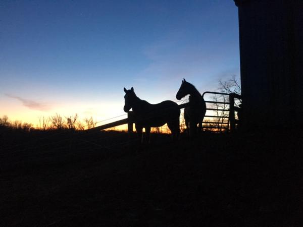 Shadow Hill Stables LLC