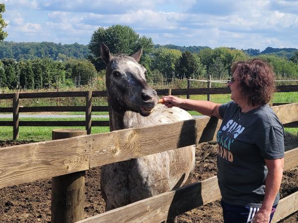 Shadow Hill Stables LLC