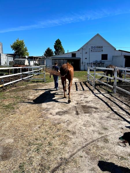 Chica's Ranch