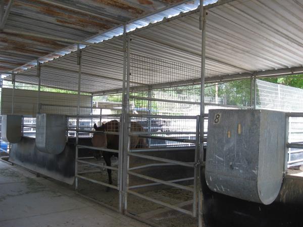 B Bar J Equestrian Training Centre