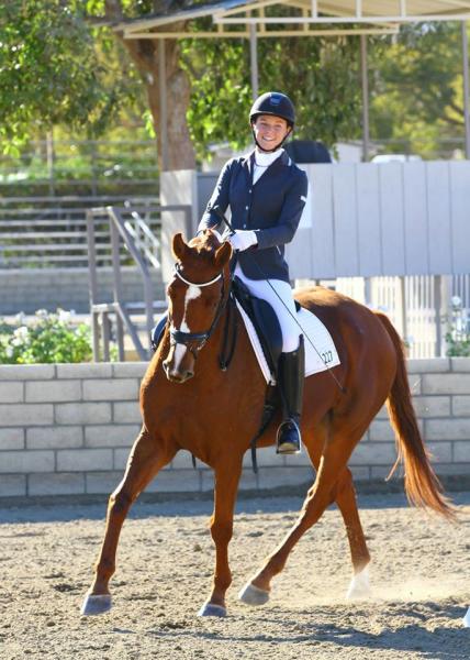 Billings Equestrian