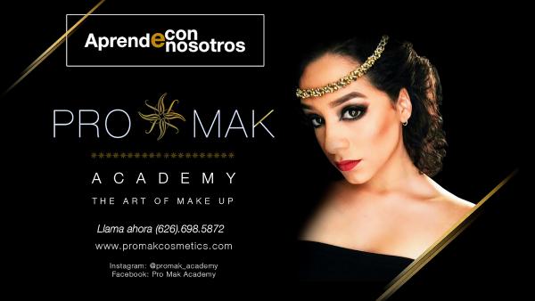 Pro Mak Beauty Academy