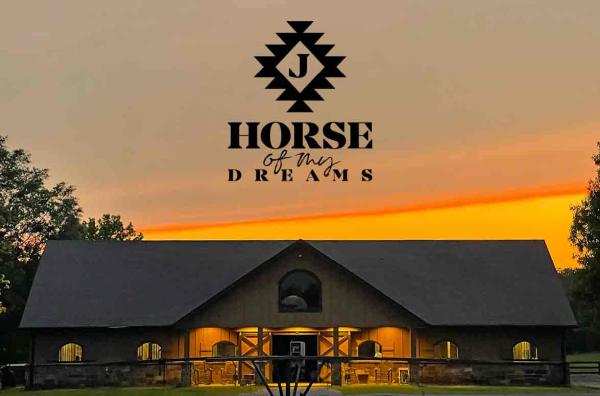 Horse of My Dreams