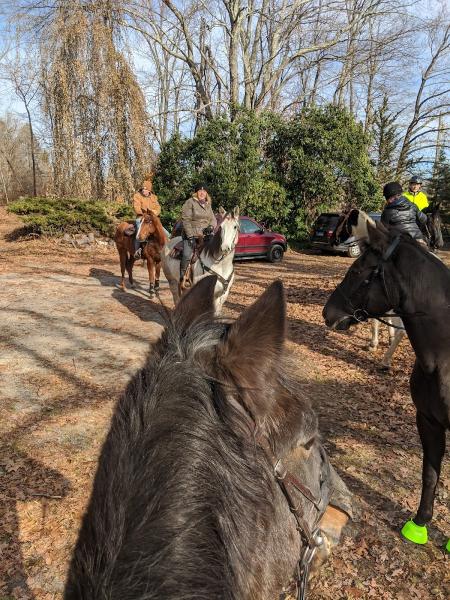 Blackhorse Equestrian Center