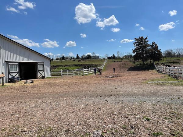 Saddlebrook Equestrian Center