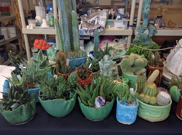 Fireseed Clay Arts Studios