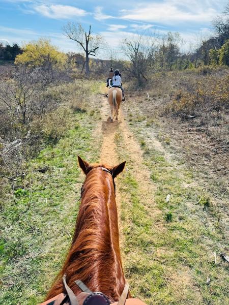 Widowmaker Trail Rides