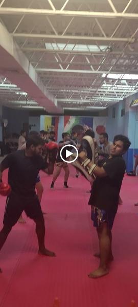 Americas Finest Karate Kick Boxing Academy Queens ny
