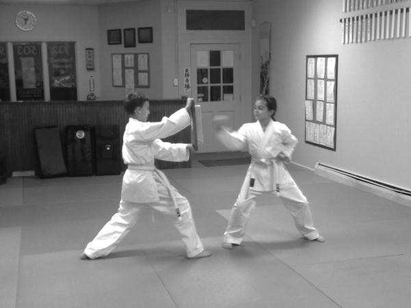 Budokan South Martial Arts Academy