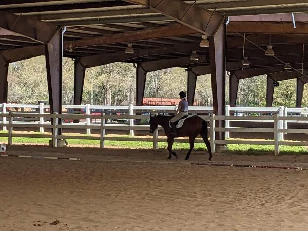 Callegari Equestrian Center