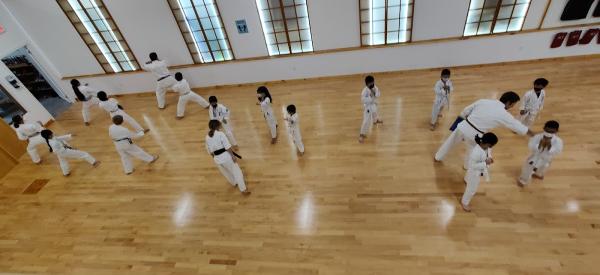 World Seido Karate