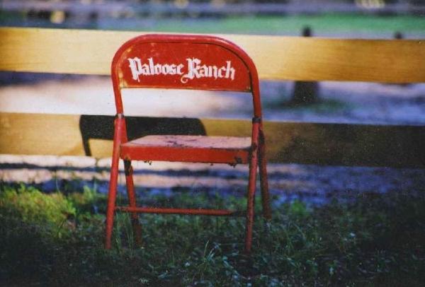 Pam Lynn Paloose Ranch