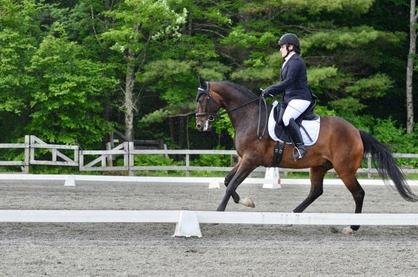 Hana Poulin Dressage & Driving LLC