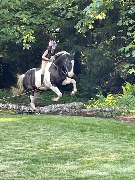 Halohills Farm Bothell Wa