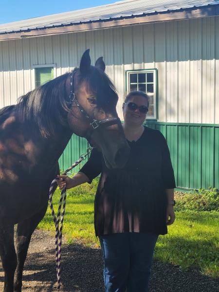 Whispering Creek Equestrian Stable