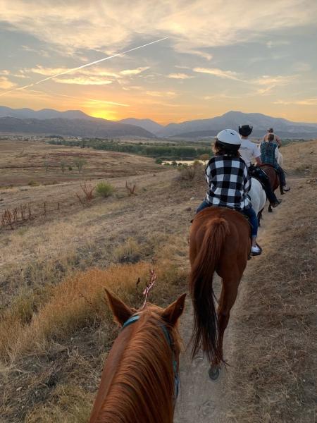 Bear Creek Stables