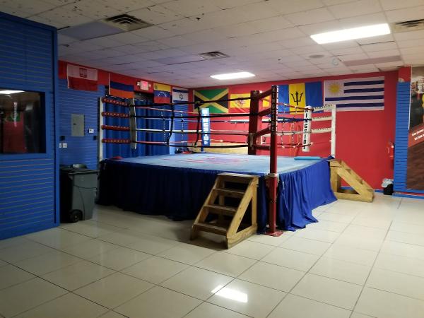 International Boxing & Fitness