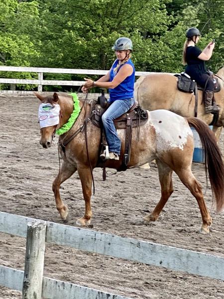 Steppin' Hi Stables Inc