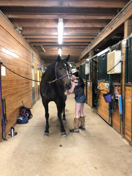 Roaring Run Equestrian Center