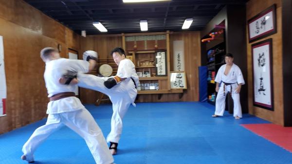 IKO Los Angeles Kyokushinkaikan Power Karate Mbk/Usa