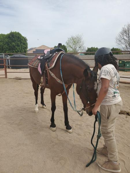 Horse Harmonies