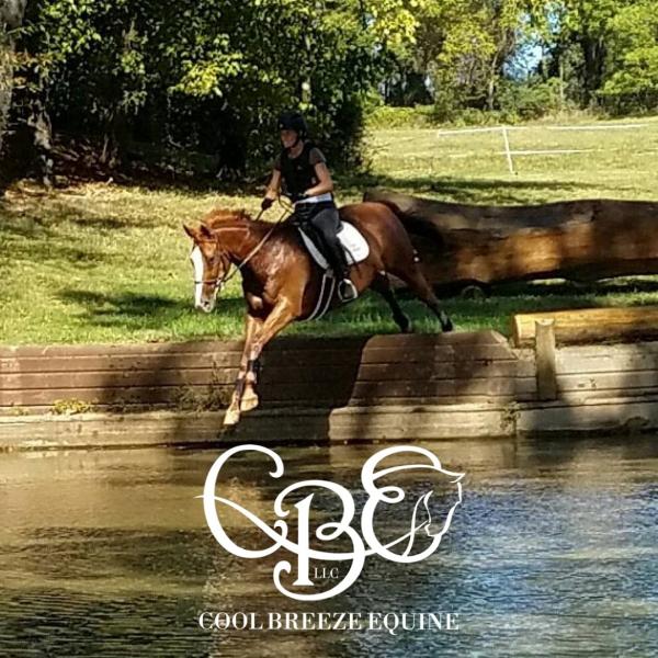 Cool Breeze Equine LLC