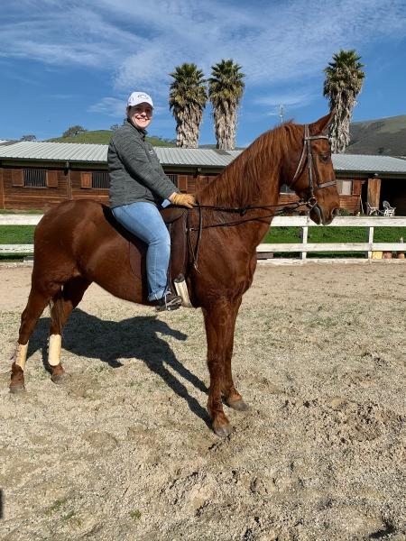 Golden Ridge Saddlebreds