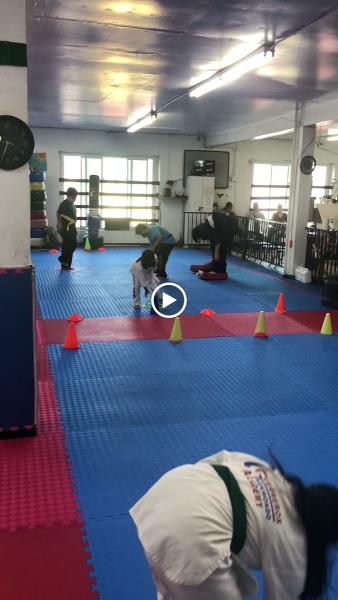 Guerreros Taekwondo Academy