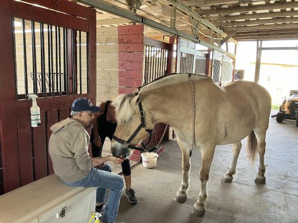 Saddlewood Horse Club