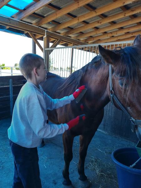 Saddlewood Horse Club