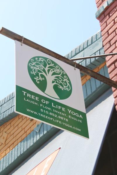 Tree of Life Yoga and Spine Therapy