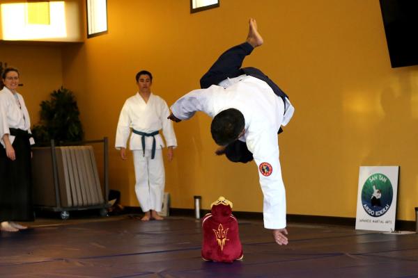 Essential Aikido