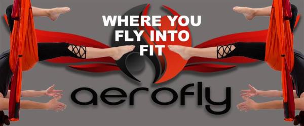 Aerofly Fitness