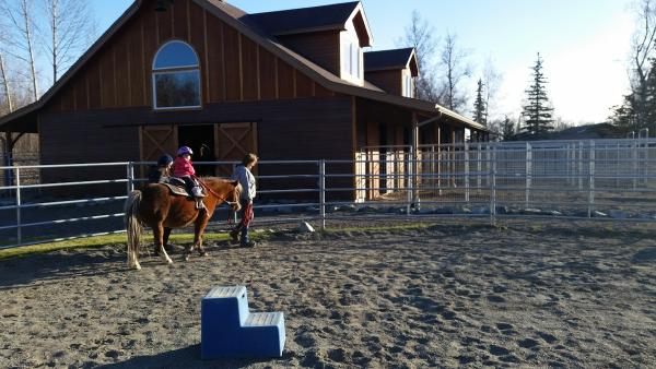 Frost Bit Farm Sporthorses