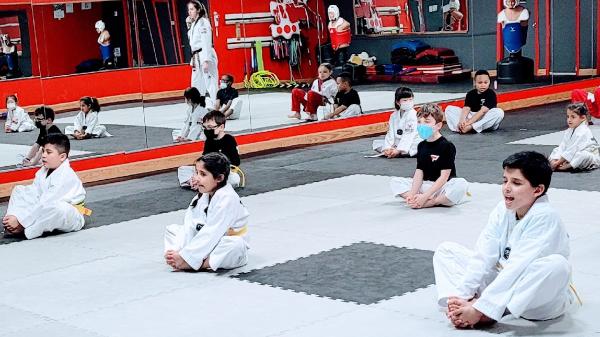 Park's Taekwondo Academy